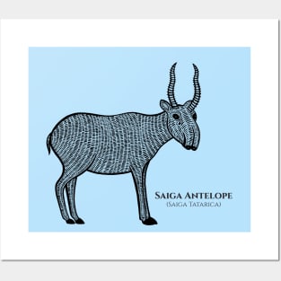 Saiga Antelope with Common and Scientific Name - animal design Posters and Art